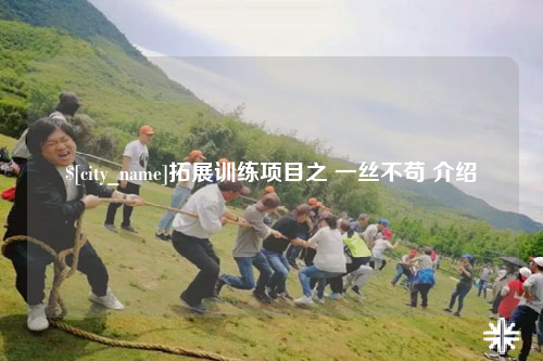 德州拓展训练项目之 一丝不苟 介绍